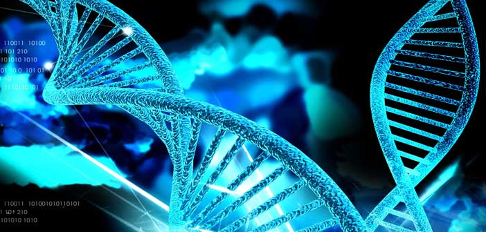 Μόλις το 8,2% του ανθρώπινου DNA είναι… χρήσιμο