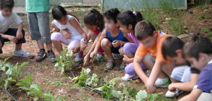 Καρπούς από λαχανόκηπους σχολείων συνέλεξαν μαθητές