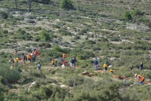 6η αναδάσωση στο Πεντελικό όρος