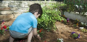 Παιδιά φυτεύουν στο άλσος Βαρβαρέσου