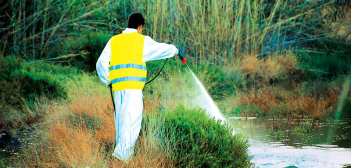 Συνεχίζονται οι ψεκασμοί κατά των κουνουπιών στον Δήμο Πεντέλης