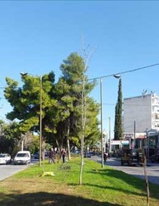 Στη νησίδα της οδού Δουκίσσης Πλακεντίας