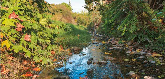Διημερίδα για τα Αστικά Ρέματα από τον Δήμο Φιλοθέης-Ψυχικού