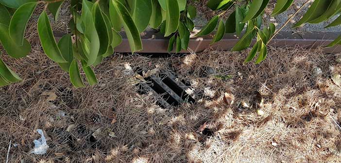 Σκουπίδια και φερτά υλικά φράζουν τα φρεάτια στα Μελίσσια