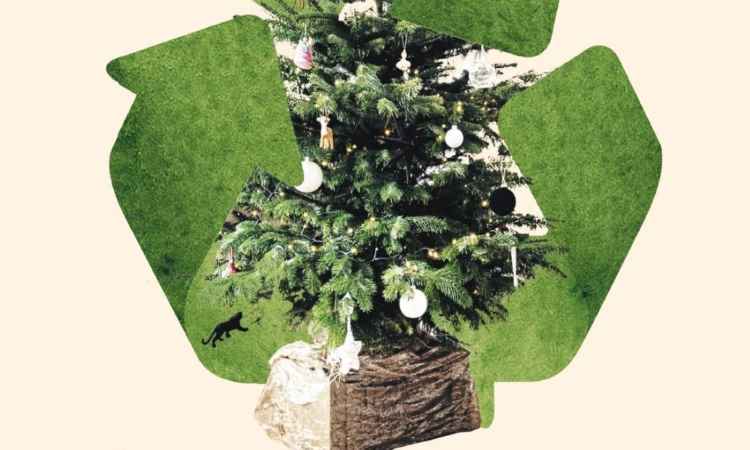 Πρόγραμμα για την ανακύκλωση των φυσικών χριστουγεννιάτικων δένδρων εφαρμόζει ο Δήμος Ηρακλείου Αττικής
