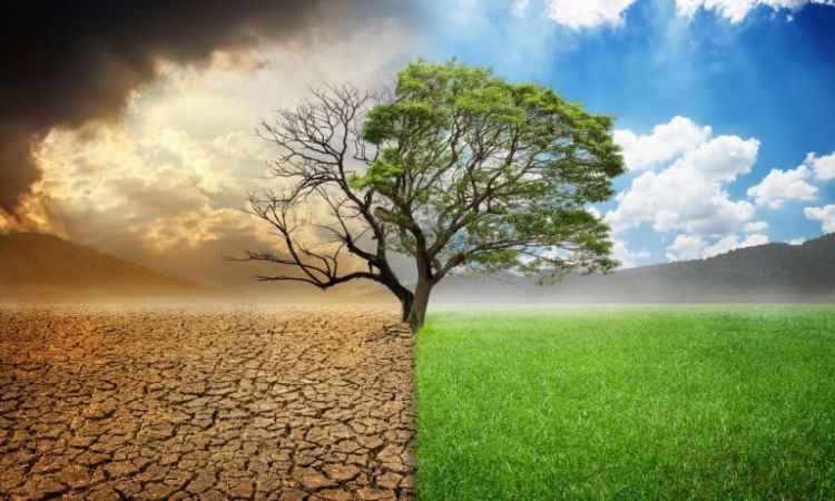 Στις 6/2 η αναβληθείσα ημερίδα «Δράσεις για την κλιματική ουδετερότητα στο Χαλάνδρι – Προς μια κυκλική οικονομία»