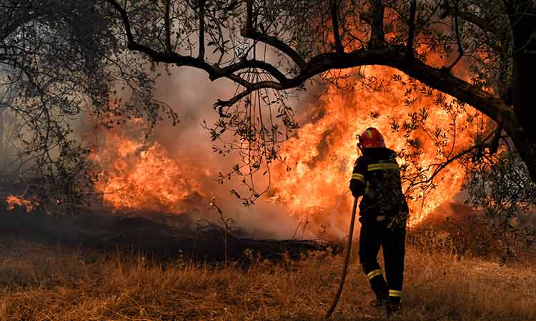 Δ. Παπαστεργίου: Καμία από τις μεγάλες πυρκαγιές των τελευταίων ετών δεν οφείλεται σε πράξεις ή παραλείψεις Δήμων