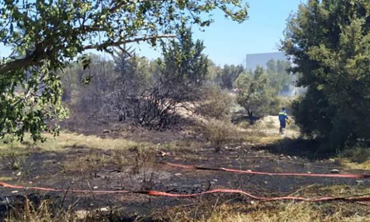 Φωτιά στο Πικέρμι – Έκαψε ξερά χόρτα και χαμηλή βλάστηση