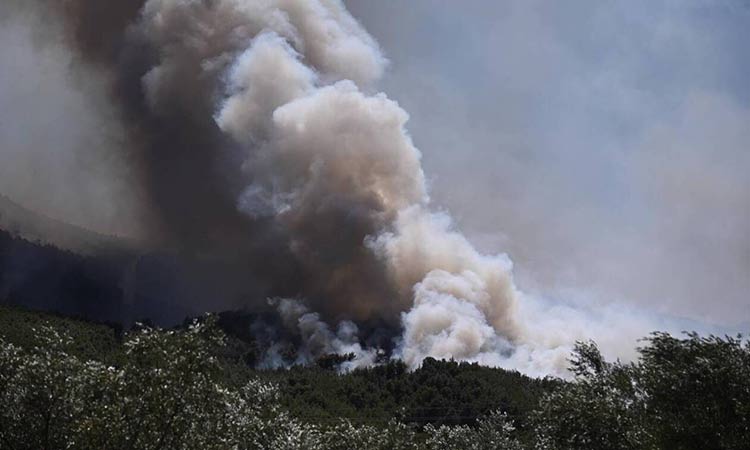 Φωτιά στο Πόρτο Γερμενό: Συνεχίζει να καίει δασικές εκτάσεις μέσα στη χαράδρα – Εκκενώθηκε ο Μύτικας
