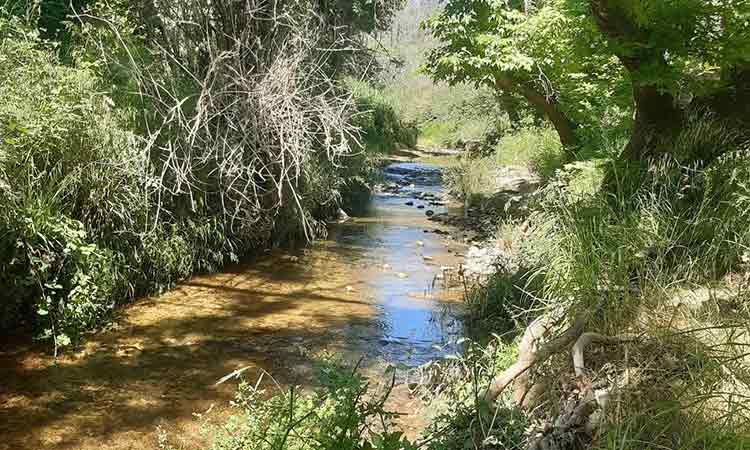 Δήμος Κηφισιάς: Δράση καθαρισμού στην περιοχή του Κηφισού ποταμού