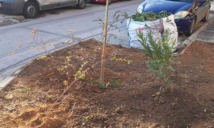 Ενισχύεται το πράσινο στη Νέα Ιωνία