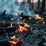 Τον Δήμο Νέας Ιωνίας ευχαρίστησε ο Δήμος Μάνδρας – Ειδυλλίας για τη συνδρομή στην πρόσφατη πυρκαγιά