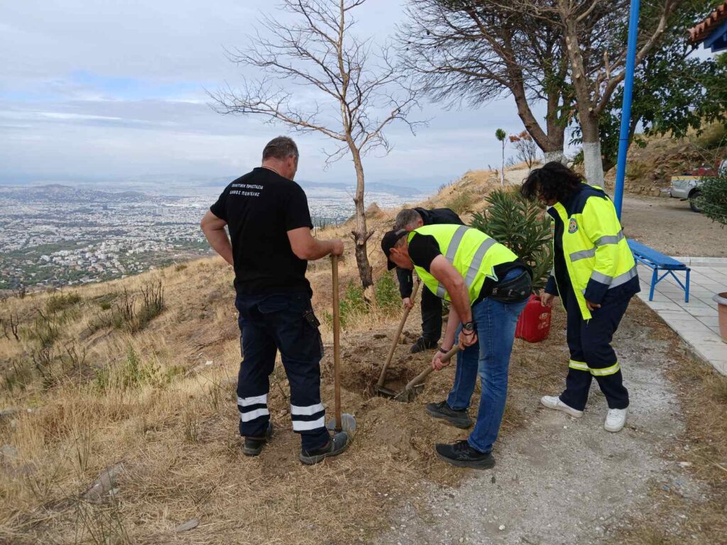 Συμβολική δενδροφύτευση και πότισμα στον Άγιο Γιάννη τον Λατόμο στην Πεντέλη