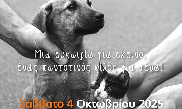 Ημέρα Υιοθεσίας Ζώων στον Δήμο Παπάγου – Χολαργού