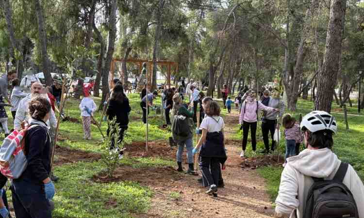 Περίπου 400 νέα δένδρα φυτεύτηκαν στον Δήμο Παπάγου – Χολαργού