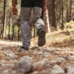 Πεζοπορία στην Πάρνηθα διοργανώνει ο Δήμος Κηφισιάς στις 25 Απριλίου