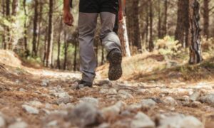 Πεζοπορία στην Πάρνηθα διοργανώνει ο Δήμος Κηφισιάς στις 25 Απριλίου