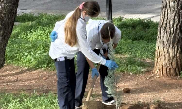 Δήμος Παπάγου – Χολαργού: Δεντροφύτευση στην οδό Χατζηκωνσταντή στις 25/1