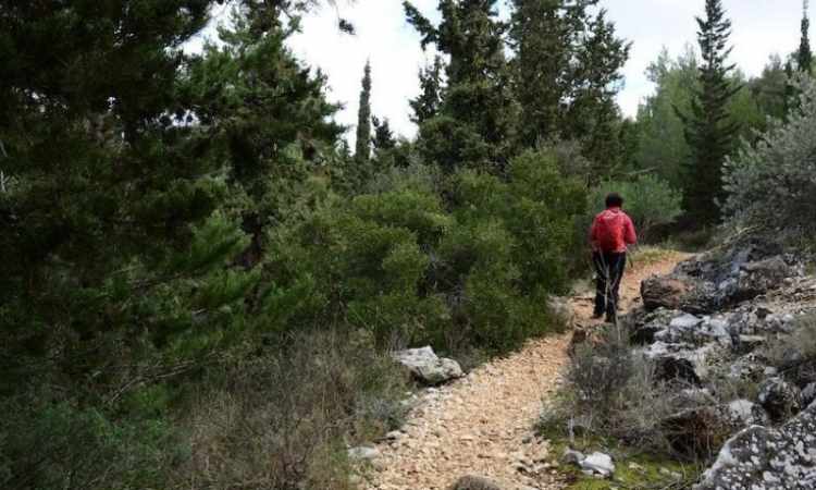 Δήμος Παπάγου – Χολαργού: Oι 10 περιπατητικές διαδρομές στον Υμηττό