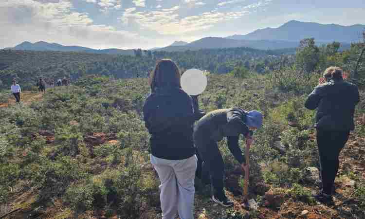 Στέφθηκε με επιτυχία η 1η μαθητική δενδροφύτευση του ΣΠΑΠ για το 2026 στο Πεντελικό Όρος
