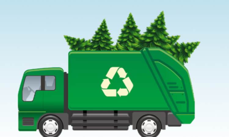Αποκομιδή φυσικών χριστουγεννιάτικων δένδρων από τον Δήμο Κηφισιάς