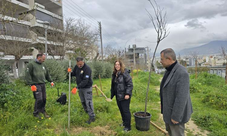 Φυτεύθηκαν 20 νέα δένδρα στην οδό Ορφέως του Δήμου Ηρακλείου Αττικής