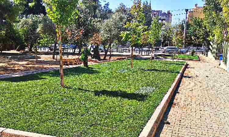 Δήμος Λυκόβρυσης – Πεύκης: 239 δένδρα φυτεύθηκαν κατά την περίοδο 2024-2025