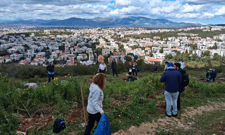 Φυτεύθηκαν 100 νέες βελανιδιές στα Άνω Βριλήσσια