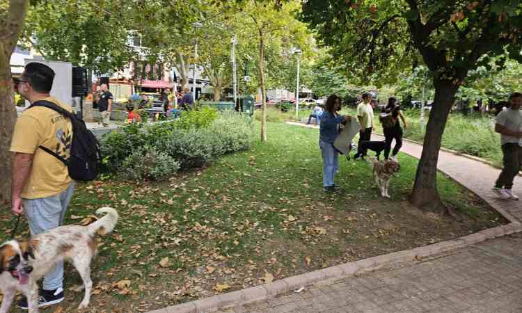 Ο Δήμος Ηρακλείου Αττικής εξασφαλίζει τη συνέχιση του προγράμματος για τα αδέσποτα ζώα