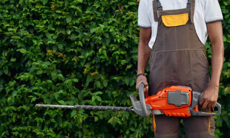 Ανάθεση 37.000 ευρώ σε ιδιώτη για εργασίες αποχλόασης – Αντιδρά ο Σύλλογος Εργαζομένων Δήμου Βριλησσίων