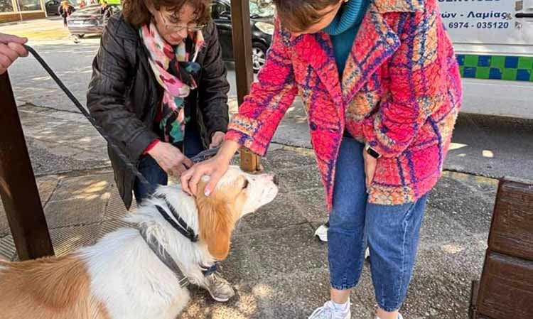 Γιόρτασε την Παγκόσμια Ημέρα Αδέσποτων Ζώων ο Δήμος Πεντέλης