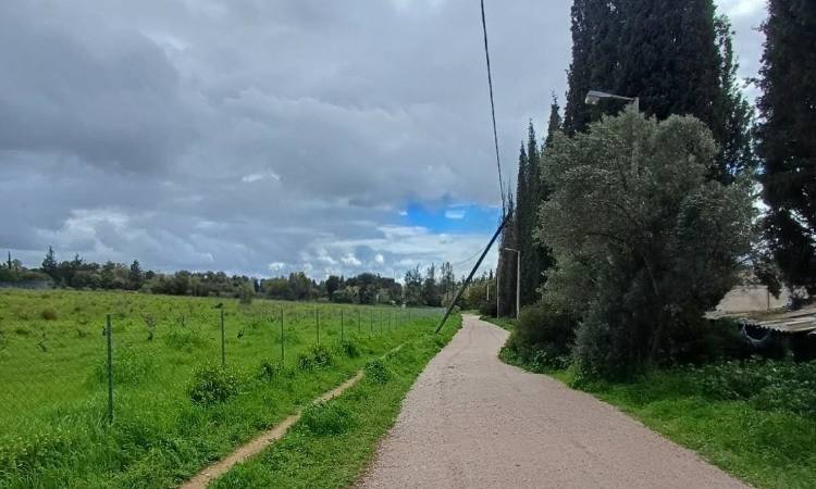 Ζημιές στο Δάσος Συγγρού προκάλεσε η κακοκαιρία Erminio