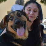 15 σκυλάκια βρήκαν το νέο τους σπίτι στα Βριλήσσια