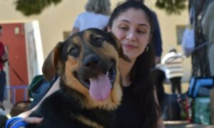 15 σκυλάκια βρήκαν το νέο τους σπίτι στα Βριλήσσια