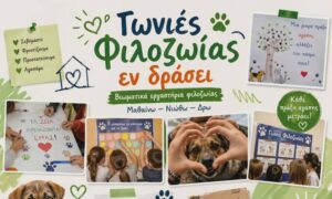 Μια διαφορετική «τάξη» στον κήπο του δημοτικού κτηρίου Ψυχικού