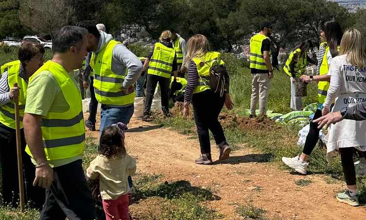 105 vέες βελανιδιές φυτεύτηκαν στα Άνω Βριλήσσια