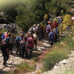 «9η Διάσχιση Ρεματιάς» από τη σπηλιά Νταβέλη μέχρι τα Βριλήσσια