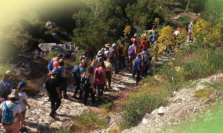 «9η Διάσχιση Ρεματιάς» από τη σπηλιά Νταβέλη μέχρι τα Βριλήσσια