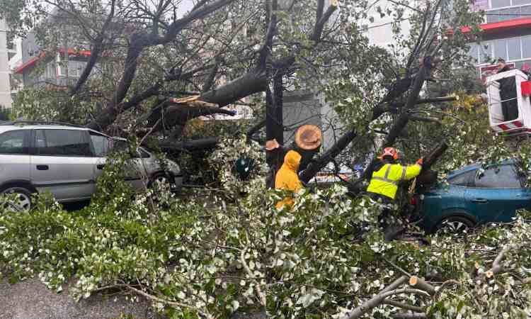 Πτώση δένδρου στο Ηράκλειο Αττικής από την κακοκαιρία