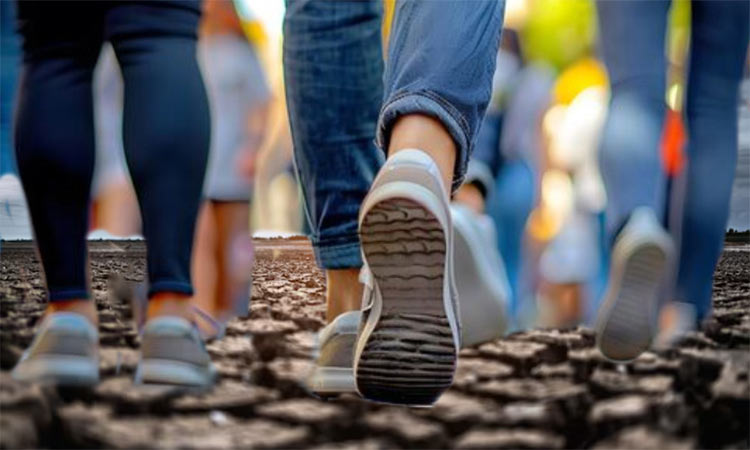 Μόνο τα προβλήματα… ανθίζουν στα βόρεια