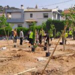 Δενδροφύτευση πραγματοποιήθηκε στο Άνω Πάτημα