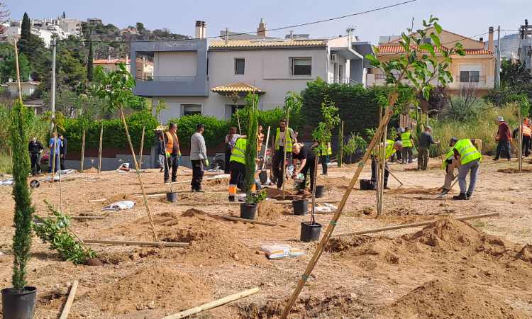 Δενδροφύτευση πραγματοποιήθηκε στο Άνω Πάτημα Χαλανδρίου