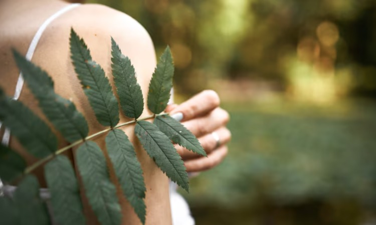 Ημερίδα για τη «θεραπευτική δύναμη της φύσης» στην Κηφισιά