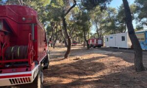 Συνάντηση Β. Ξυπολυτά με ΔΕΔΔΗΕ και ΑΔΜΗΕ για την αντιπυρική προστασία