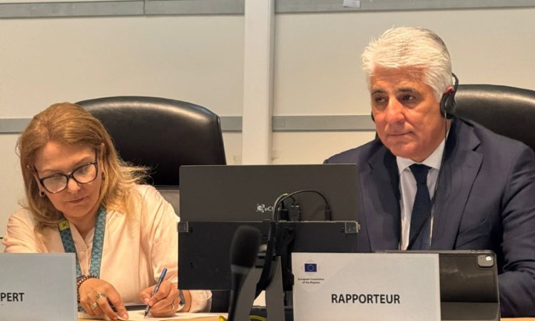 Δ. Καφαντάρης: Η Ευρώπη να επενδύσει στην πρόληψη των δασικών πυρκαγιών