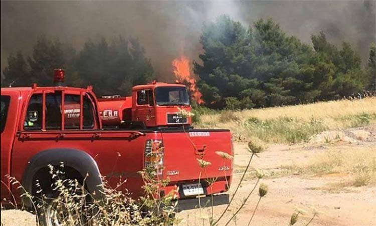 Φωτιά σε χαμηλή βλάστηση στη Φιλοθέη