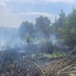 Συνελήφθη 45χρονος μελισσοκόμος για τη φωτιά στο Άλσος Βεΐκου στη Φιλοθέη