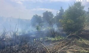 Συνελήφθη 45χρονος μελισσοκόμος για τη φωτιά στο Άλσος Βεΐκου στη Φιλοθέη