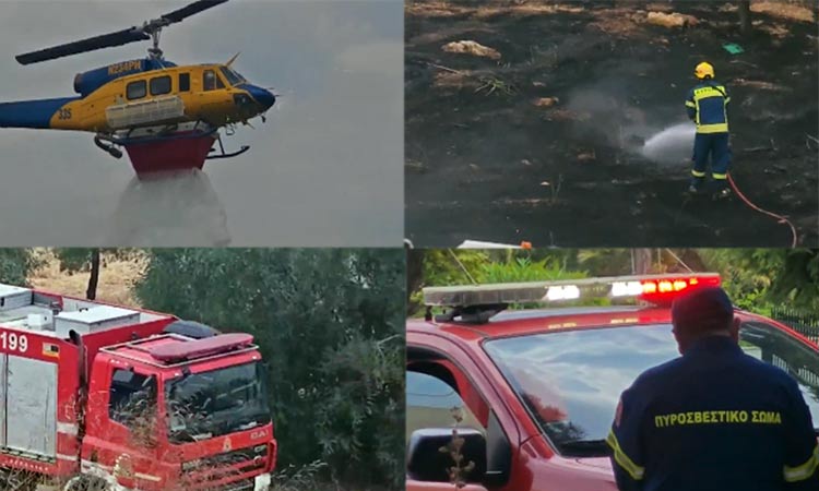 Από κάπνισμα μελισσών η φωτιά στο λόφο της Φιλοθέης 