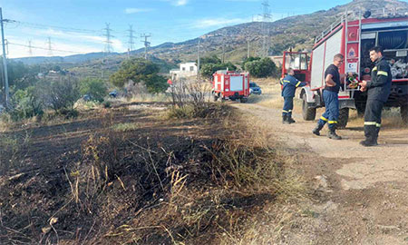 Φωτιά στη Νέα Πεντέλη από καλώδια της ΔΕΗ
